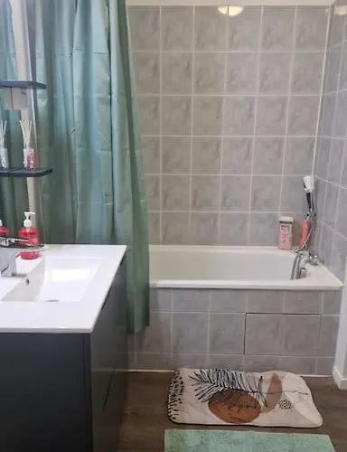 Joli T2 Vue Sur Le Jardin Proche De Toulouse *