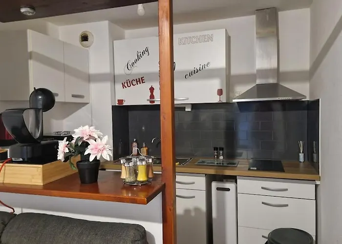 Joli T2 Vue Sur Le Jardin Proche De Toulouse