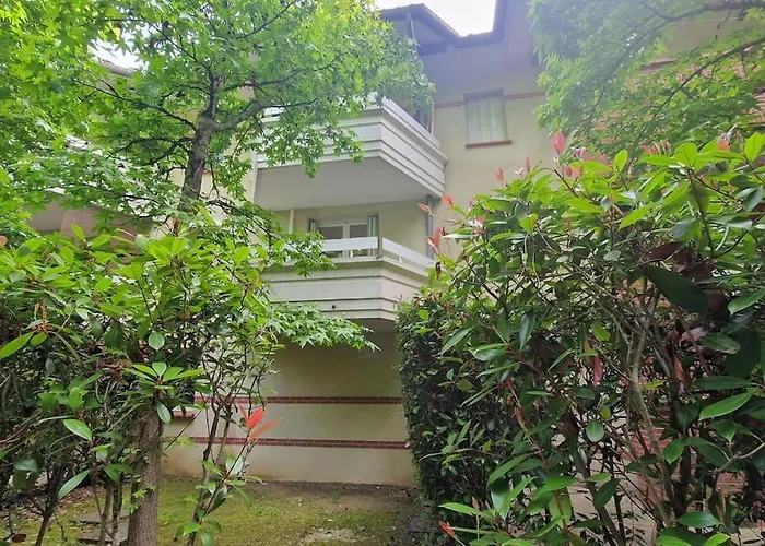 Joli T2 Vue Sur Le Jardin Proche De Toulouse Appartement