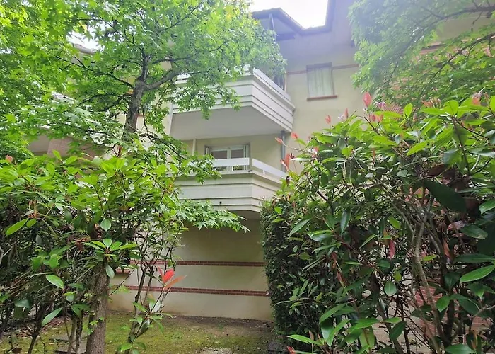 Joli T2 Vue Sur Le Jardin Proche De Toulouse Appartement Launaguet