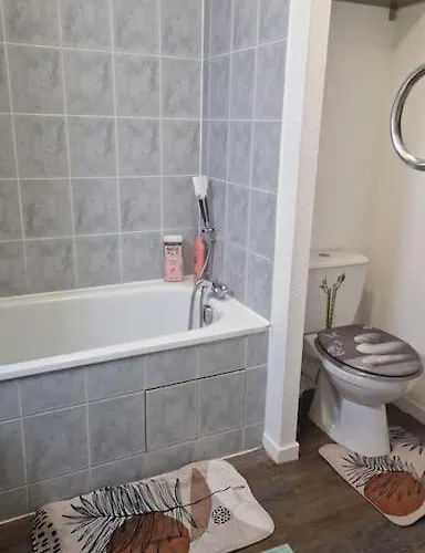 Διαμέρισμα Joli T2 Vue Sur Le Jardin Proche De Toulouse Launaguet