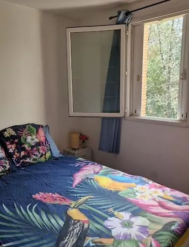 Appartement Joli T2 Vue Sur Le Jardin Proche De Toulouse